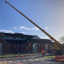 cranepics6.jpg