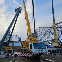 cranepics8.jpg